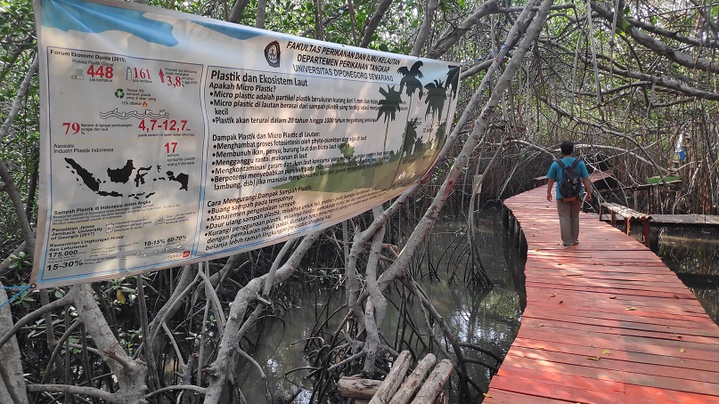 Menengok Kondisi Wisata Hutan Mangrove di Rembang Ditengah Pandemi Covid-19