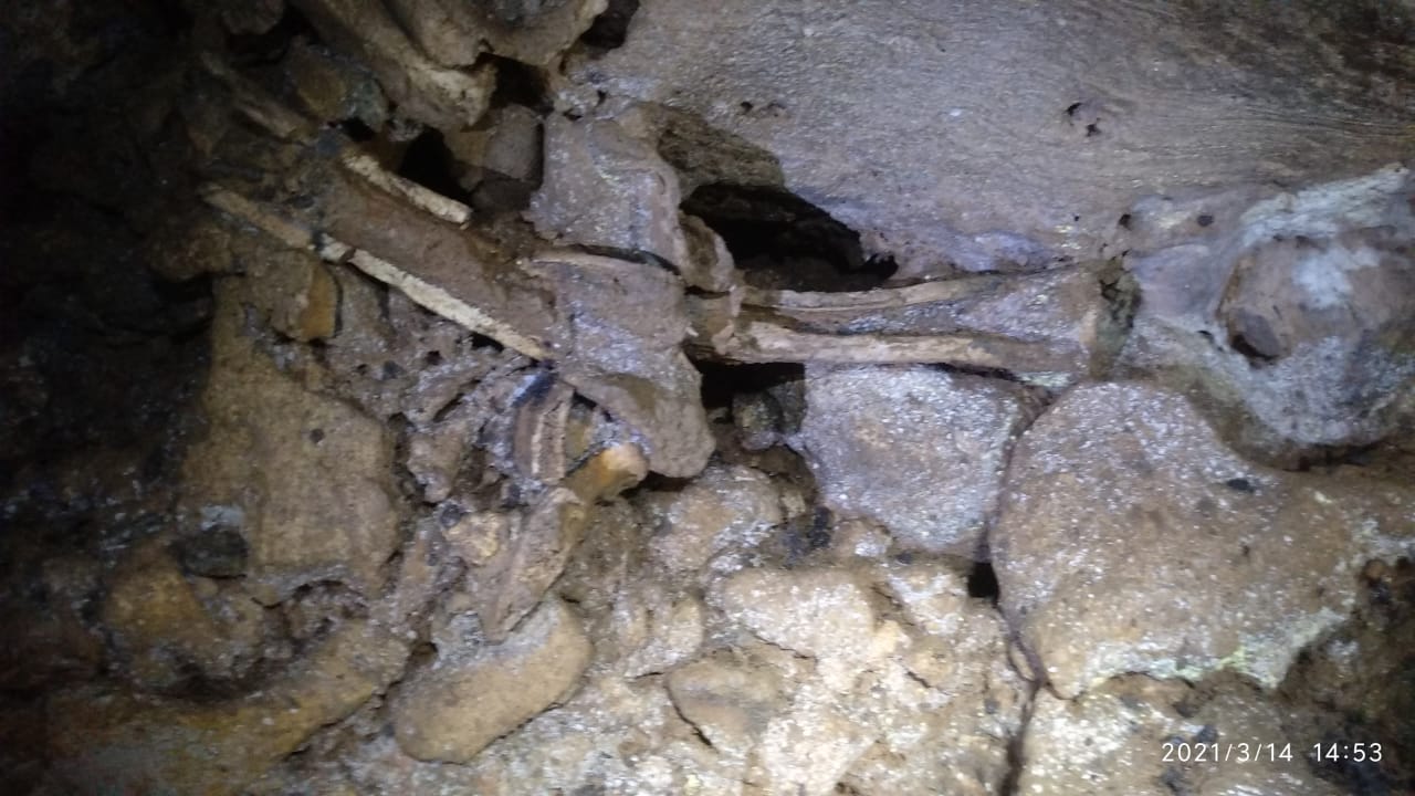 Kumpulan Tulang Ditemukan di Dinding Gua Desa Bitingan Sale, Diduga Dari Suku Pra Sejarah